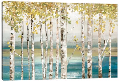 Down By The River I Canvas Art Print - Aspen and Birch Trees