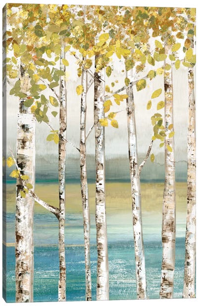 Down By The River II Canvas Art Print - Aspen and Birch Trees