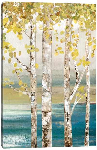Down By The River III Canvas Art Print - Aspen and Birch Trees