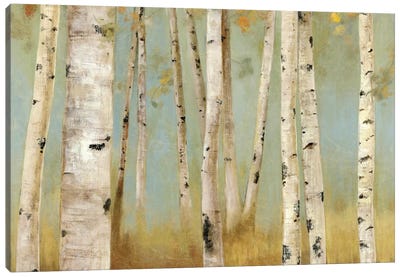 Eco I Canvas Art Print - Aspen and Birch Trees