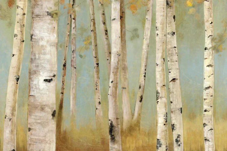Eco I by Allison Pearce wall art