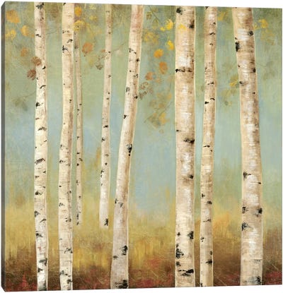 Eco II Canvas Art Print - Aspen and Birch Trees