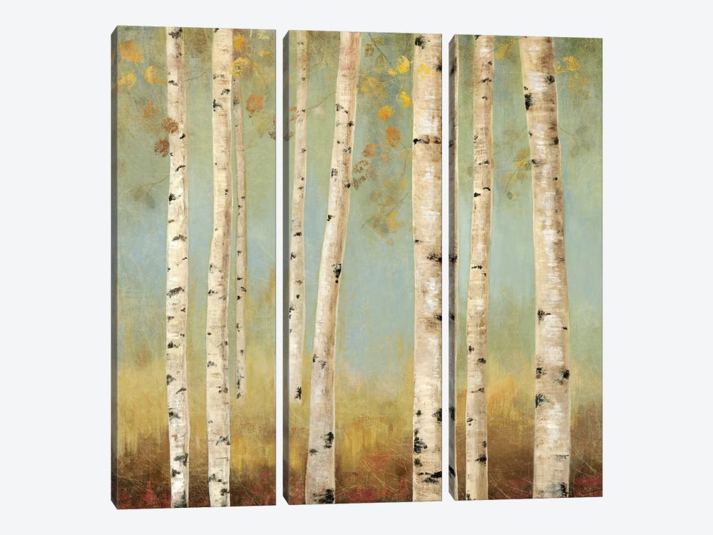 Eco II by Allison Pearce 3-piece Canvas Print