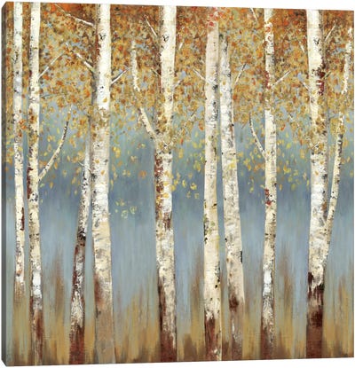 Falling Embers II Canvas Art Print - Aspen and Birch Trees