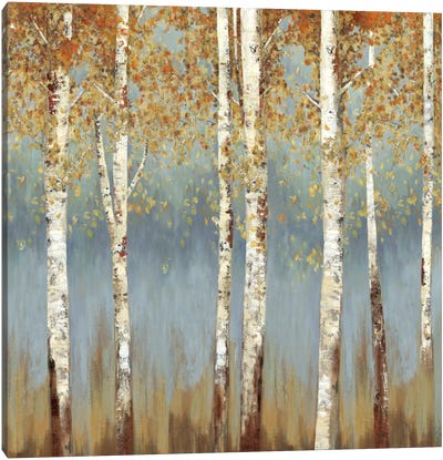 Falling Embers III Canvas Art Print - Aspen and Birch Trees