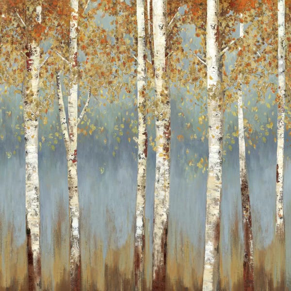 Aspen Trees | Birch Trees: Falling Embers III by Allison Pearce