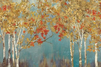 Aspen Trees | Birch Trees