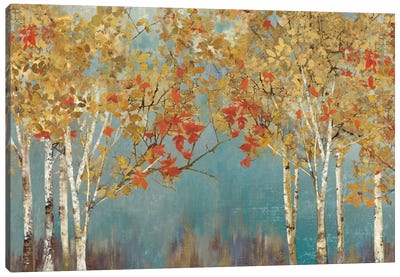 First Moment I Canvas Art Print - Aspen and Birch Trees