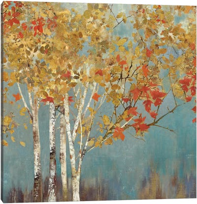 First Moment II Canvas Art Print - Aspen and Birch Trees