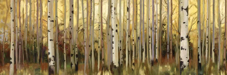 Forest Light by Allison Pearce wall art