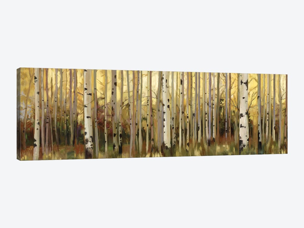 Forest Light by Allison Pearce 1-piece Canvas Print