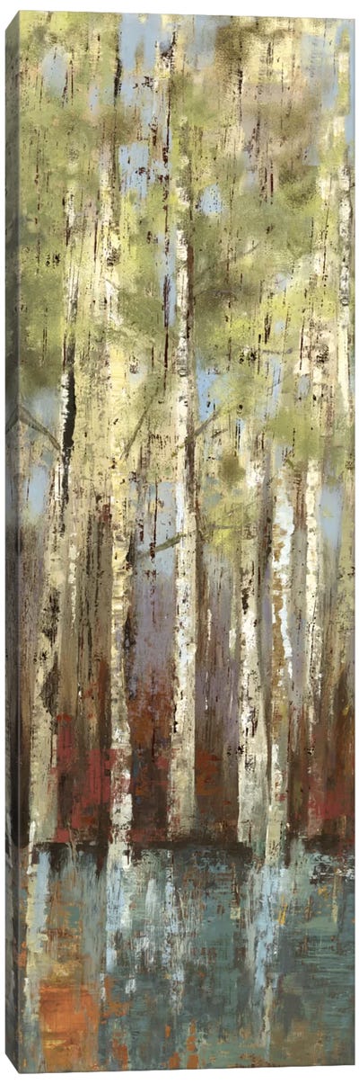 Forest Whisper I Canvas Art Print - Aspen and Birch Trees