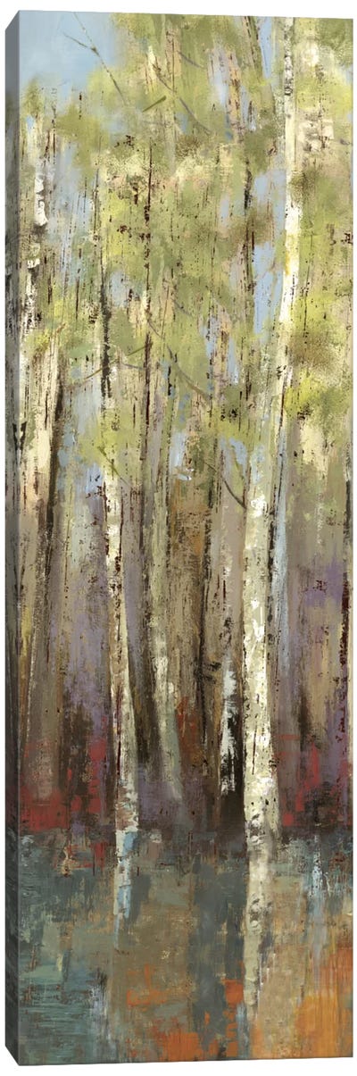 Forest Whisper II Canvas Art Print - Aspen and Birch Trees
