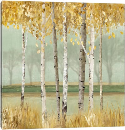 Golden Birch Canvas Art Print - Birch Tree Art