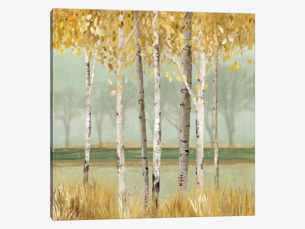 Golden Birch by Allison Pearce 1-piece Canvas Print