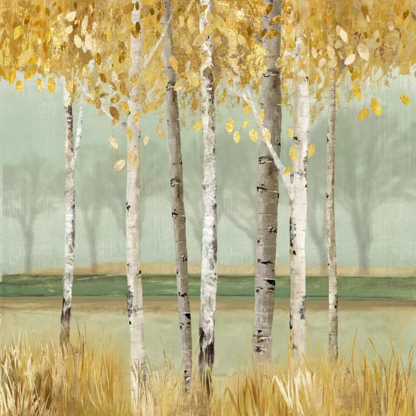 Golden Birch