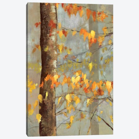 Golden Branches I Canvas Print #ALP93} by Allison Pearce Canvas Wall Art