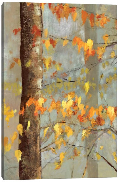 Golden Branches I Canvas Art Print - Allison Pearce