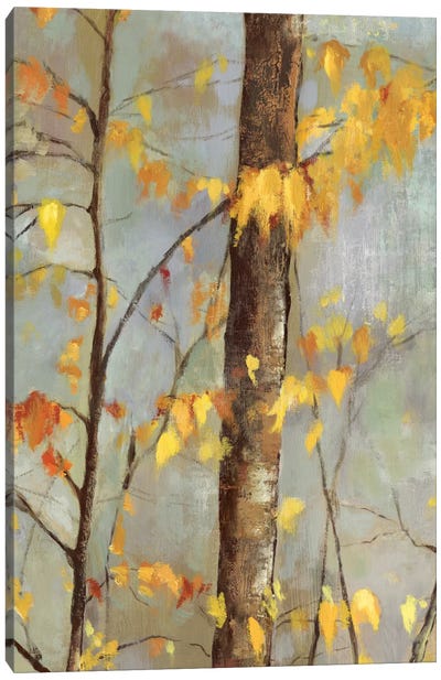 Golden Branches II Canvas Art Print - Allison Pearce