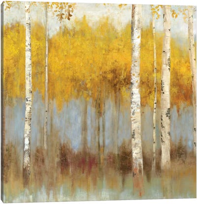 Golden Grove I Canvas Art Print - Aspen and Birch Trees