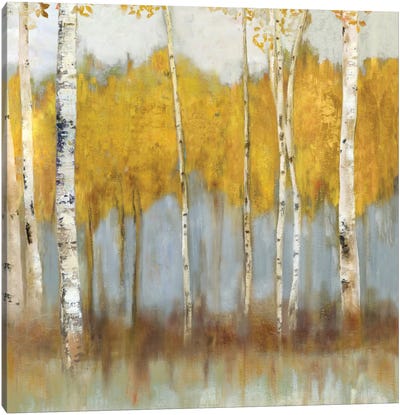 Golden Grove II Canvas Art Print - Aspen and Birch Trees