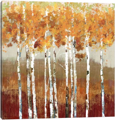 Golden Landscape Canvas Art Print - Birch Tree Art