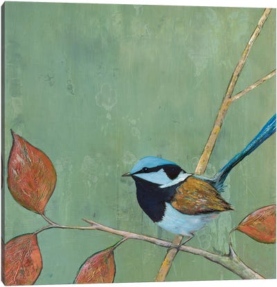 Resting Bird I Canvas Art Print