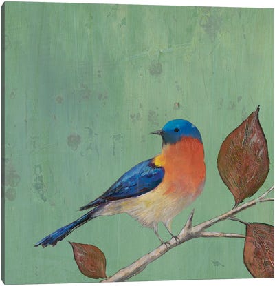 Resting Bird II Canvas Art Print