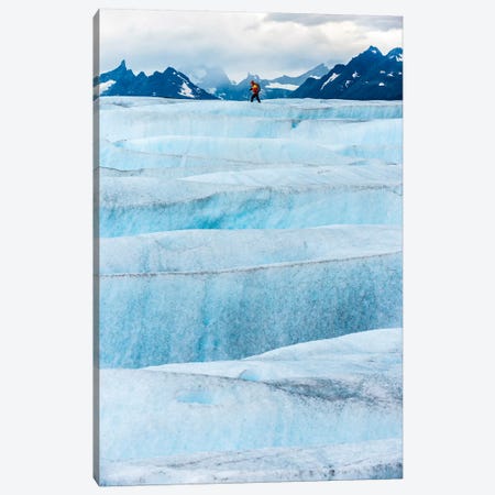 Crossing Tyndall Glacier, Patagonian Ice Cap, Patagonia, Chile Canvas Print #ALX16} by Alex Buisse Canvas Art Print