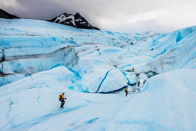 A Team Of Trekkers Cross The Massive Tyndall Glacier In Torres Del Paine, Patagonia, Chile