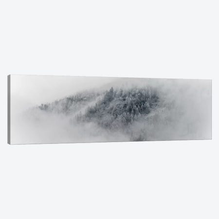 Details Of Snowy Trees In Chamonix, France Canvas Print #ALX78} by Alex Buisse Canvas Artwork