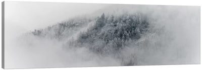 Details Of Snowy Trees In Chamonix, France Canvas Art Print