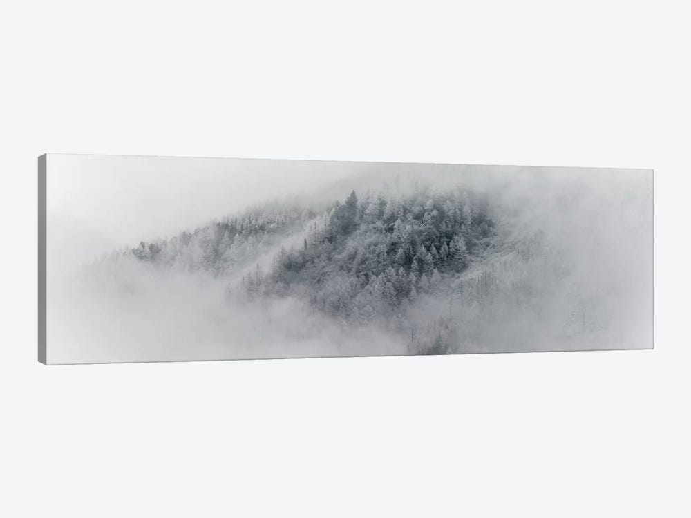 Details Of Snowy Trees In Chamonix, France by Alex Buisse 1-piece Canvas Art