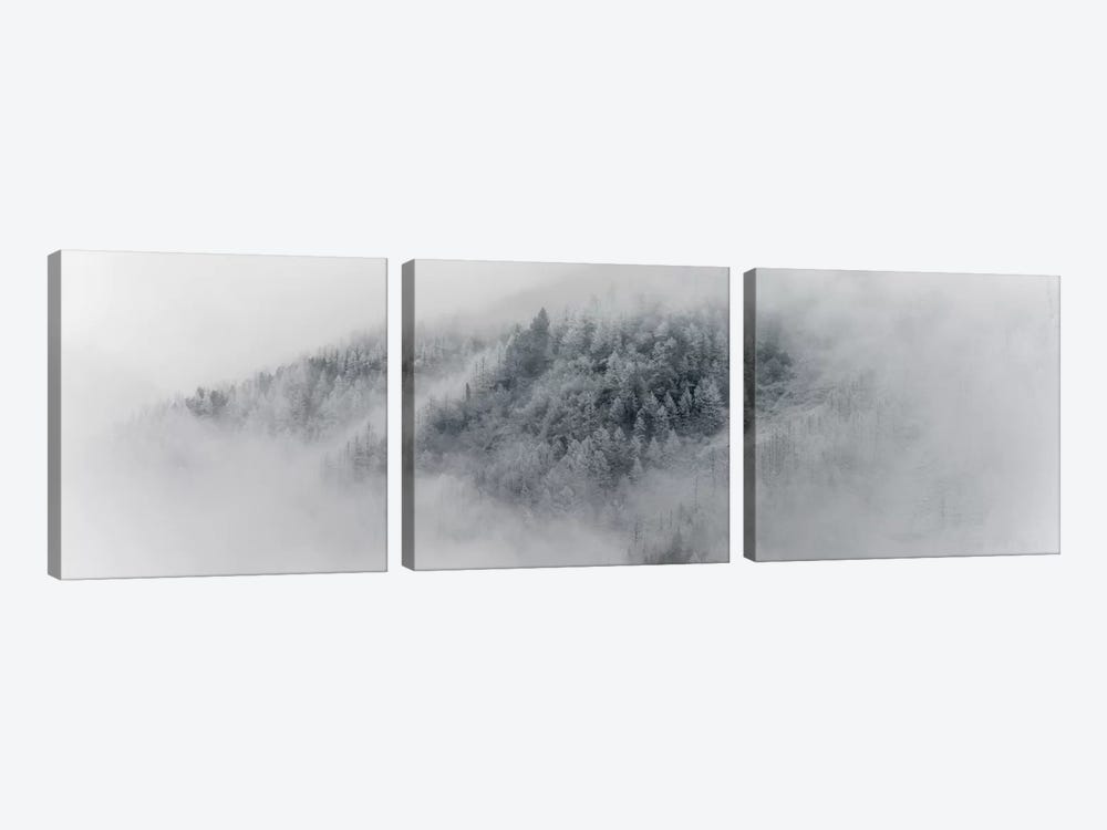 Details Of Snowy Trees In Chamonix, France by Alex Buisse 3-piece Canvas Artwork