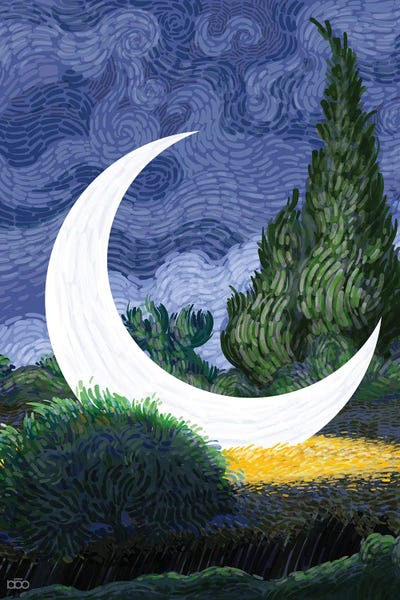 Moon In The Weat Farm by Alireza Karimi Moghaddam canvas print