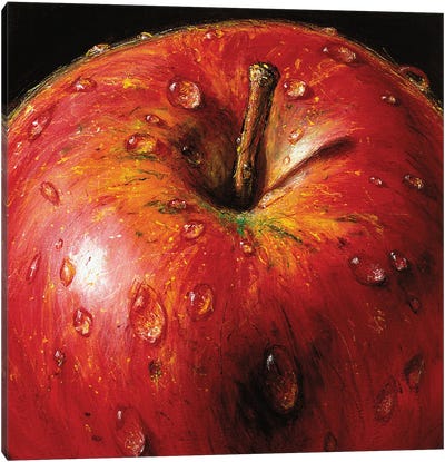 Apple Canvas Art Print - Similar to Georgia O'Keeffe
