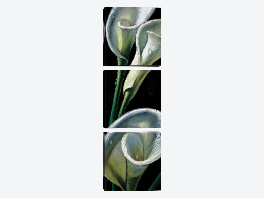 Dewdrop Callas by AlmaCh 3-piece Canvas Art Print