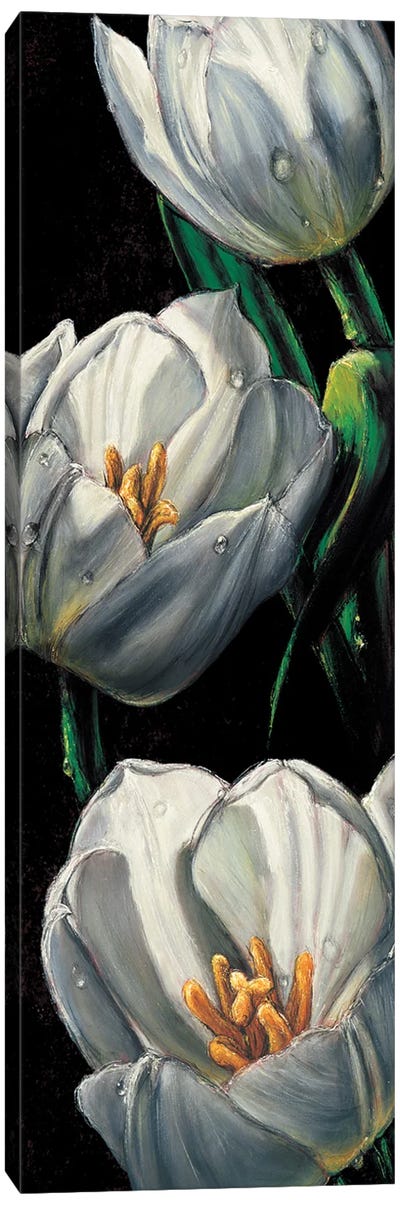 Dewdrop Tulips Canvas Art Print