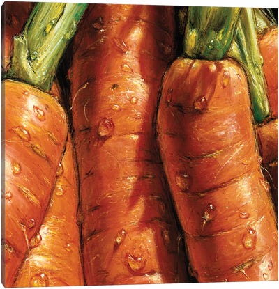 Carrots Canvas Art Print - Gardening Art