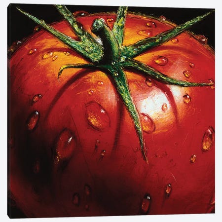 Tomato Canvas Print #AMC2} by AlmaCh Canvas Wall Art