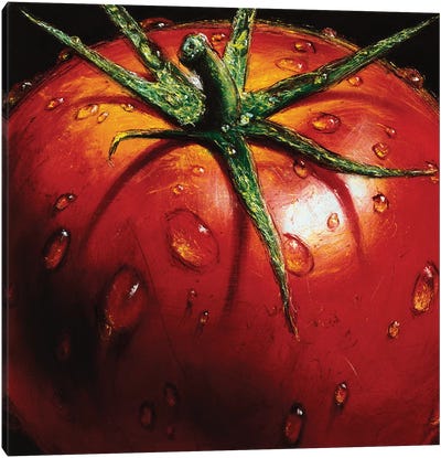 Tomato Canvas Art Print - Similar to Georgia O'Keeffe