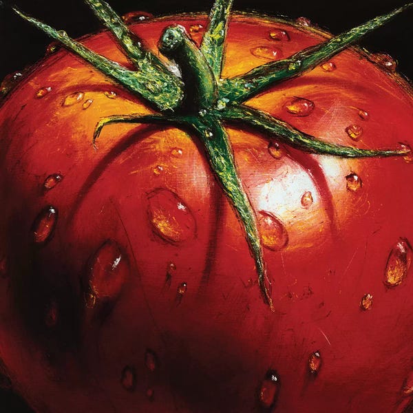 The Art Of Fine Dining: Tomato by Alma'Ch
