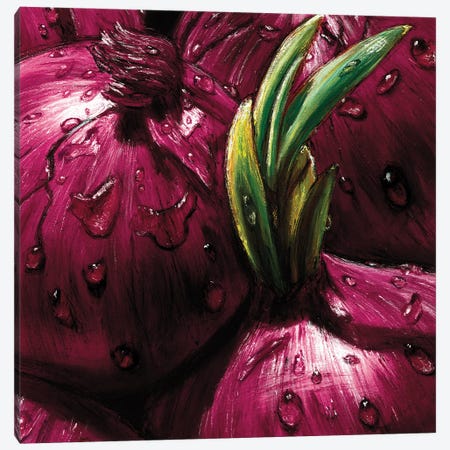 Onions Canvas Print #AMC3} by AlmaCh Canvas Wall Art