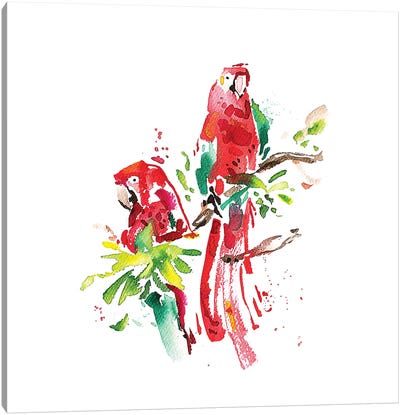 Loros Canvas Art Print - Parrot Art