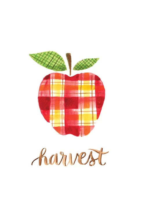 Apple Harvest II