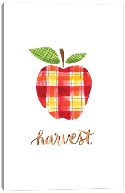 Apple Harvest II Canvas Art Print