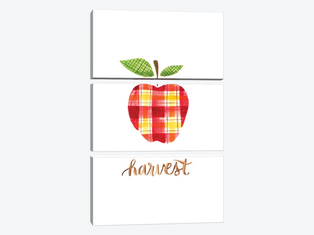 Apple Harvest II by Amanda Mcgee 3-piece Canvas Print
