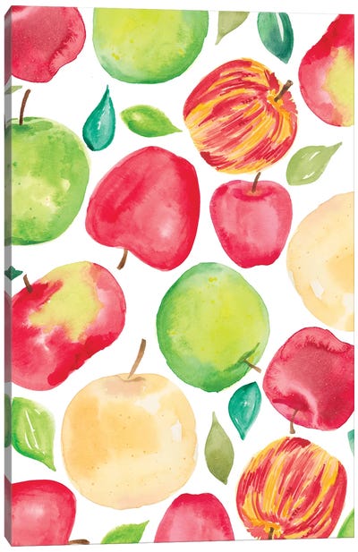 Apple Harvest V Canvas Art Print