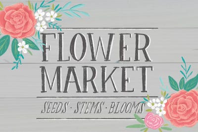 Flower Market IV by Amanda Mcgee art print