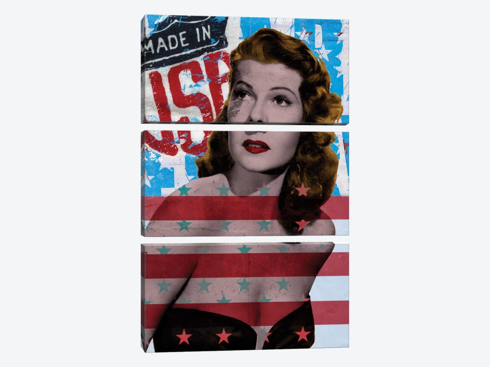 American Beauty by 5by5collective 3-piece Canvas Wall Art